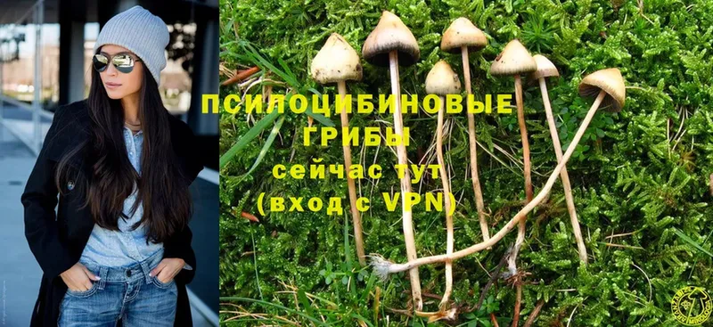 как найти наркотики  Лагань  Псилоцибиновые грибы MAGIC MUSHROOMS 